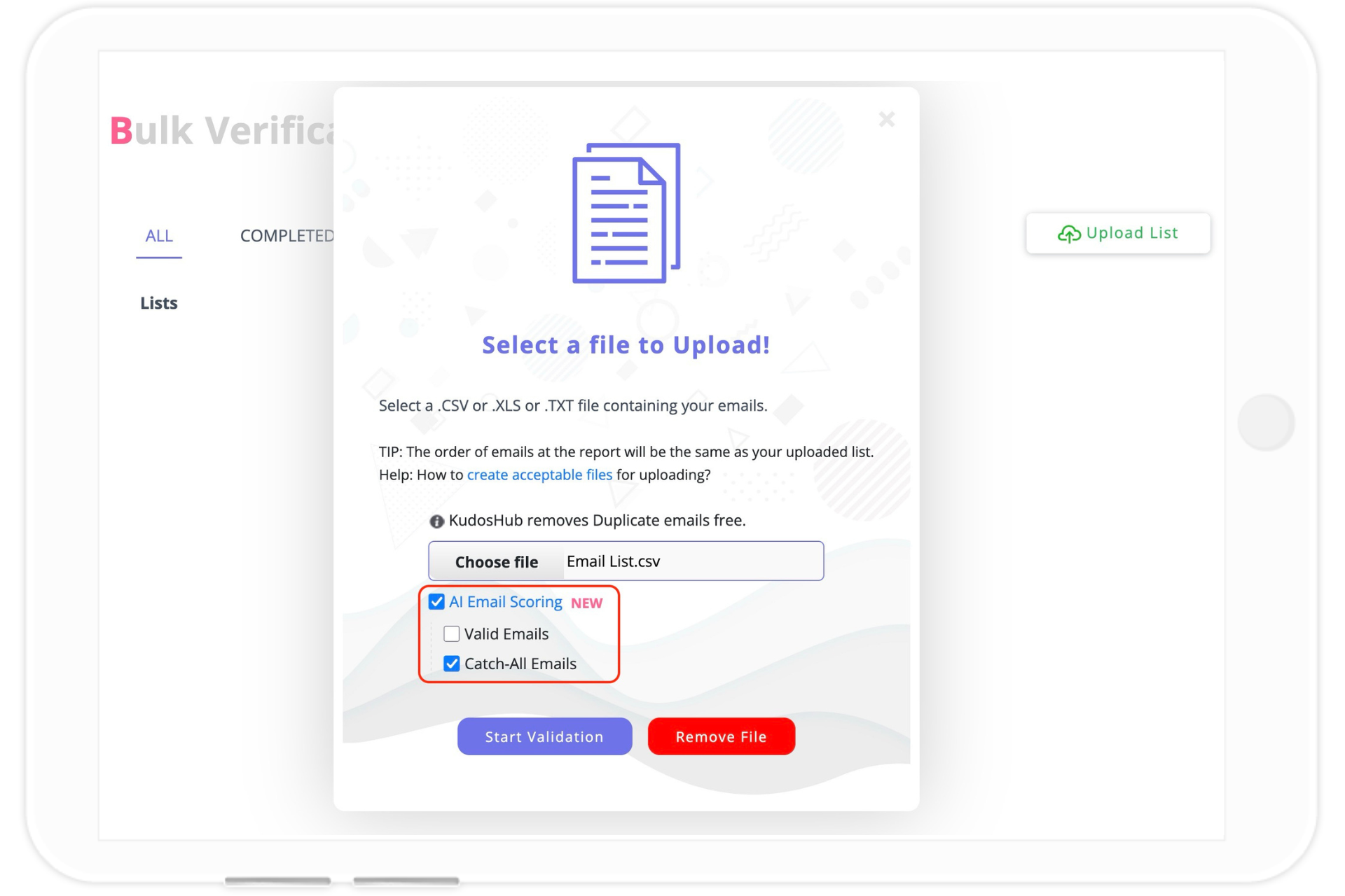 AI email scoring bulk verification option